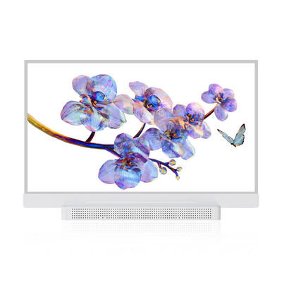 OEM ODM Pantalla OLED transparente, 55 Pantalla OLED transparente