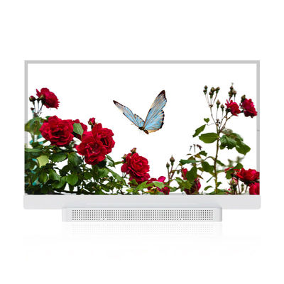 OEM ODM Pantalla OLED transparente, 55 Pantalla OLED transparente