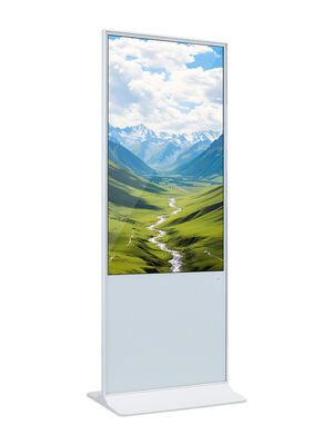 55 pulgadas Android OS Digital Signage con 350 nits Brillo para la pantalla de publicidad al por menor
