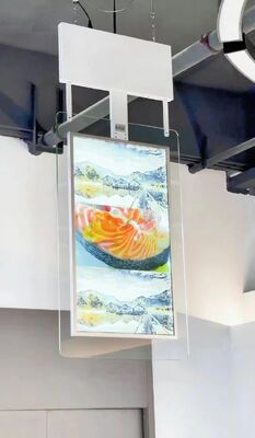 Display LCD de 55 pulgadas para publicidad con señalización digital OLED transparente de doble cara