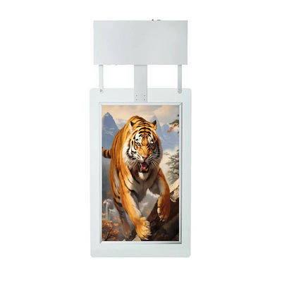 Muestra digital de pantalla de ventana de 55 pulgadas