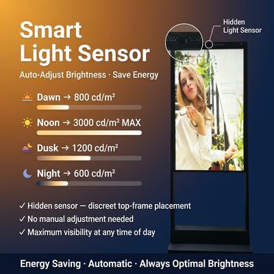 Dual Sided Independent Display 3000 Nits High Bright 700 Nits Standard 43 55 65 Inch Showcase Window Signage OEM ODM